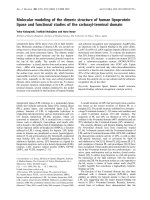 Tài liệu Báo cáo Y học: Molecular modeling of the dimeric structure of human lipoprotein lipase and functional studies of the carboxyl-terminal domain docx