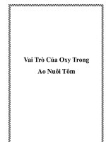 Tài liệu Vai Trò Của Oxy Trong Ao Nuôi Tôm doc