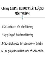 Tài liệu Kinh tế học chất lượng môi trường pot