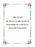 Mở rộng cho vay ngắn hạn đối với doanh nghiệp vừa và nhỏ tại Chi nhánh NHCT Hoàn Kiếm