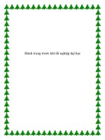 Tài liệu Hành trang trước khi tốt nghiệp đại học. doc