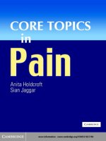 Tài liệu Core Topics in Pain ppt