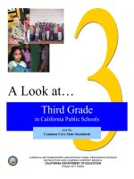 Tài liệu A Look at…Third Grade in California Public Schools doc