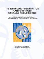 Tài liệu THE TECHNOLOGY ROADMAP FOR PLANT/CROP-BASED RENEWABLE RESOURCES 2020 docx