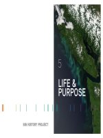 Life and purpose