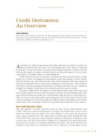 Tài liệu Credit Derivatives: An Overview pptx