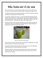 Tài liệu Đầu Xuân nói về cây mía potx