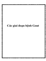 Tài liệu Các giai đoạn bệnh Gout potx