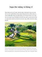 Tài liệu Sapa thơ mộng và hùng vĩ pot