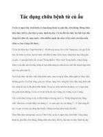 Tài liệu Tác dụng chữa bệnh từ củ ấu pot