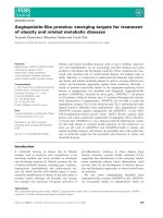 Tài liệu Báo cáo khoa học: Angiopoietin-like proteins: emerging targets for treatment of obesity and related metabolic diseases pptx