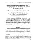Tài liệu ẢNH HƯỞNG CỦA DINH DƯỠNG QUA LÁ ĐẾN QUÁ TRÌNH SINH TRƯỞNG VÀ PHÁT TRIỂN CỦA LAN HOÀNG THẢO THẠCH HỘC (Dendrobium nobile Lindl) pptx