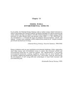 Tài liệu FOSSIL FUELS: ENVIRONMENTAL EFFECTS doc