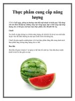 Tài liệu Thực phẩm cung cấp năng lượng doc