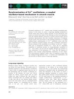 Tài liệu Báo cáo khoa học: Synchronization of Ca2+ oscillations: a coupled oscillator-based mechanism in smooth muscle ppt