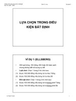 Tài liệu LỰA CHỌN TRONG ĐIỀU KIỆN BẤT ĐỊNH doc
