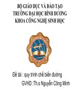 đề tài quy trình chế biến đường