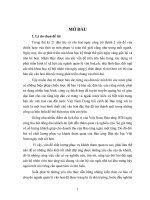 sự thu hút khách tham quan tại ngôi nhà dao họ - bảo tàng dân tộc học việt nam