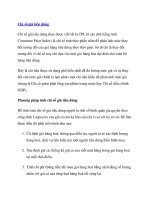 Tài liệu Chỉ số giá tiêu dùng docx