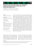 Tài liệu Báo cáo khoa học: Structural and functional studies on a mesophilic stationary phase survival protein (Sur E) from Salmonella typhimurium ppt