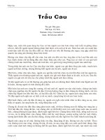 Tài liệu Trầu Cau pdf