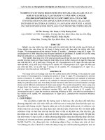 Tài liệu BÁO CÁO 