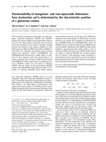 Tài liệu Báo cáo Y học: Thermostability of manganese- and iron-superoxide dismutases from Escherichia coli is determined by the characteristic position of a glutamine residue pdf