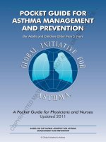 Tài liệu Global Initative For Asthma doc