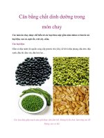 Tài liệu Cân bằng chất dinh dưỡng trong món chay doc