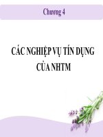 Tài liệu CÁC NGHIỆP VỤ TÍN DỤNG CỦA NHTM doc