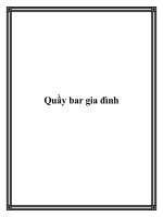 Tài liệu Quầy bar gia đình doc