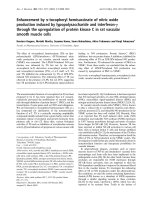 Tài liệu Báo cáo Y học: Enhancement by a-tocopheryl hemisuccinate of nitric oxide production induced by lypopolysaccharide and interferon-c through the upregulation of protein kinase C in rat vascular smooth muscle cells docx