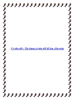 Tài liệu Cỏ nhọ nồi – Tác dụng cỏ nhọ nồi bổ âm, cầm máu pot