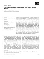 Tài liệu Báo cáo khoa học: The small heat shock proteins and their role in human disease pptx