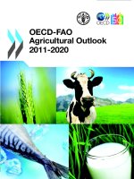 Tài liệu OECD-FAO Agricultural Outlook 2011-2020 pptx