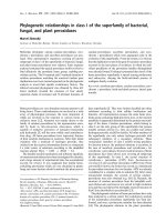 Tài liệu Báo cáo khoa học: Phylogenetic relationships in class I of the superfamily of bacterial, fungal, and plant peroxidases pptx