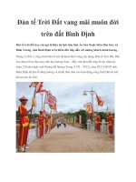 Tài liệu Đàn tế Trời Đất vang mãi muôn đời trên đất Bình Định potx