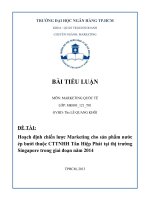 hoạch định chiến lược marketing cho sản phẩm nước ép bưởi thuộc cttnhh tân hiệp phát tại thị trường singapore trong giai đoạn năm 2014