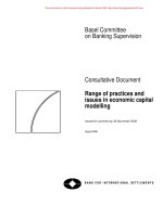 Tài liệu Range of practices and issues in economic capital modelling pdf