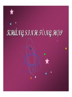 Tài liệu Kháng sinh tổng hợp ppt