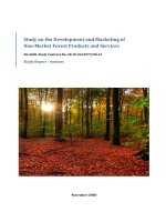 Tài liệu Study on the Development and Marketing of Non-Market Forest Products and Services ppt