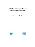 Tài liệu United Nations Environment Programme Medium-term Strategy 2010–2013 pptx