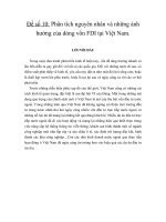 Phân tích nguyên nhân và những ảnh hưởng của dòng vốn FDI tại việt nam