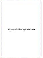 Tài liệu Bệnh lý về mắt ở người cao tuổi potx