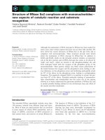 Tài liệu Báo cáo khoa học: Structure of RNase Sa2 complexes with mononucleotides – new aspects of catalytic reaction and substrate recognition pptx