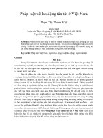 Pháp luật về lao động tàn tật ở việt nam