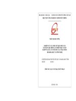 Nghiên cứu cấu trúc dữ liệu phân tán xây dựng hệ thống cấp phép trực tuyến RAISVN tại cục an toàn bức xạ và hạt nhân bộ khoa học và công nghệ