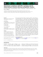 Tài liệu Báo cáo khoa học: Amprenavir complexes with HIV-1 protease and its drug-resistant mutants altering hydrophobic clusters docx
