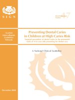 Tài liệu Preventing Dental Caries in Children at High Caries Risk doc