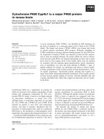Tài liệu Báo cáo khoa học: Cytochrome P450 Cyp4x1 is a major P450 protein in mouse brain doc